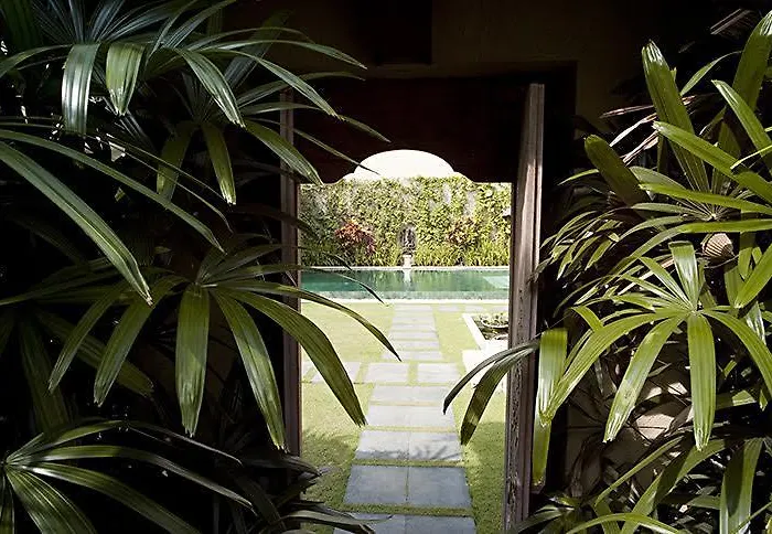 Bali Lotus
